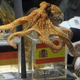 Illustration for article titled World Cup-Predicting Octopus Is Right, And German Fans Want Him Dead